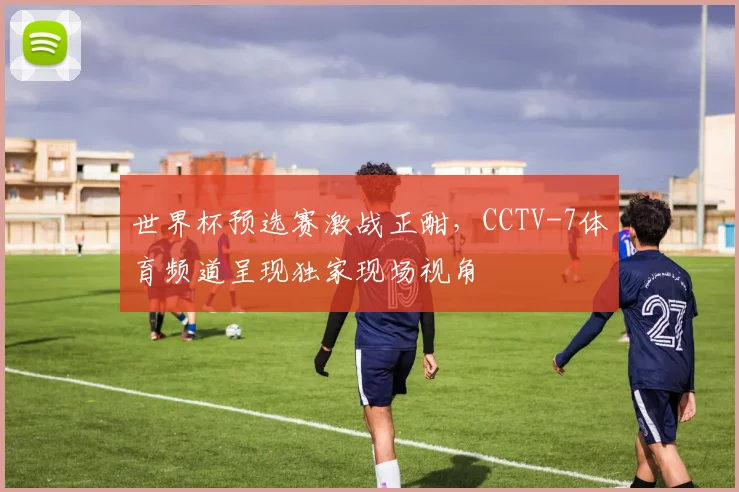 世界杯预选赛激战正酣,CCTV-7体育频道呈现独家现场视角
