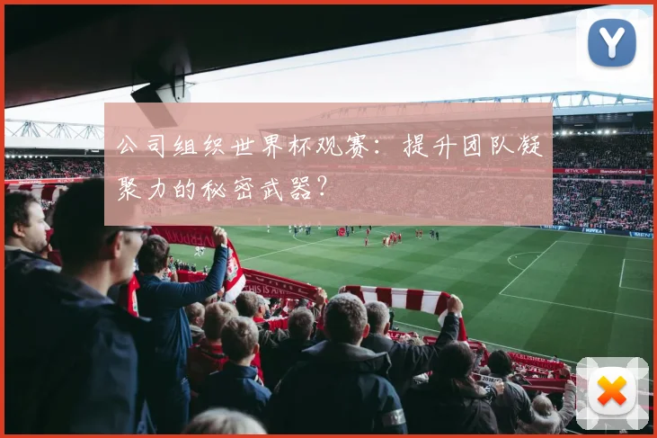 公司组织世界杯观赛：提升团队凝聚力的秘密武器？