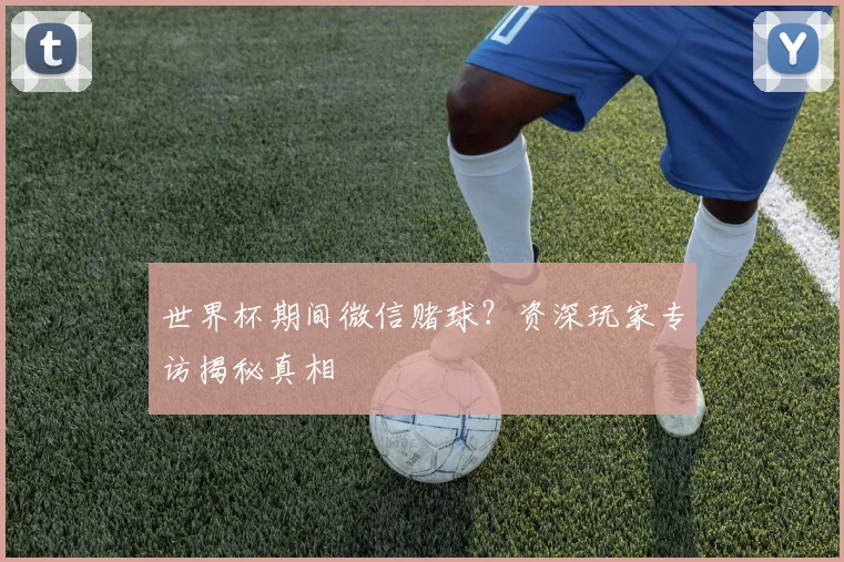 世界杯期间微信赌球？资深玩家专访揭秘真相