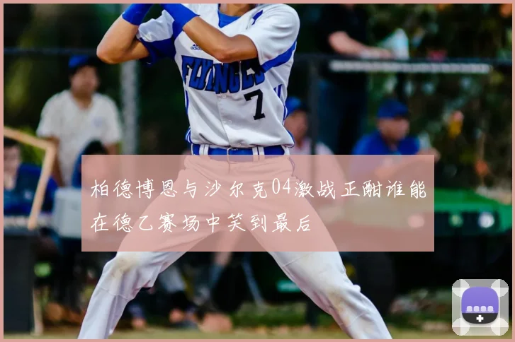 柏德博恩与沙尔克04激战正酣谁能在德乙赛场中笑到最后