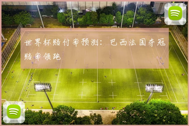 世界杯赔付率预测：巴西法国夺冠赔率领跑