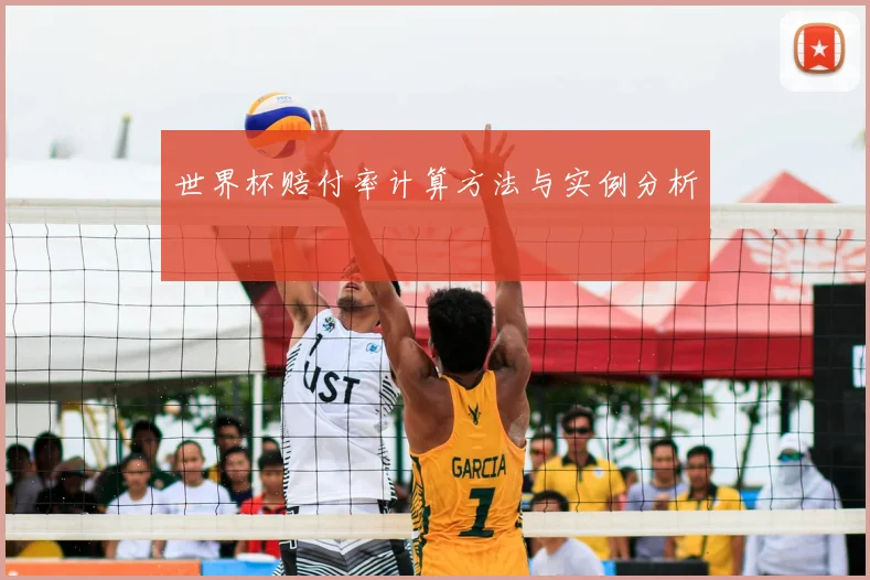 世界杯赔付率计算方法与实例分析