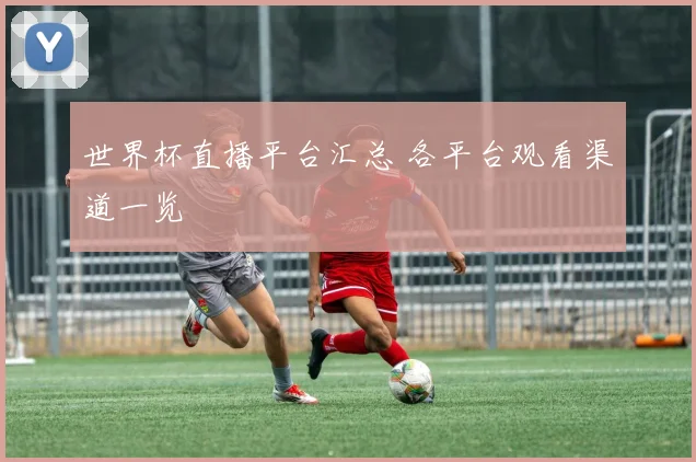 世界杯直播平台汇总 各平台观看渠道一览